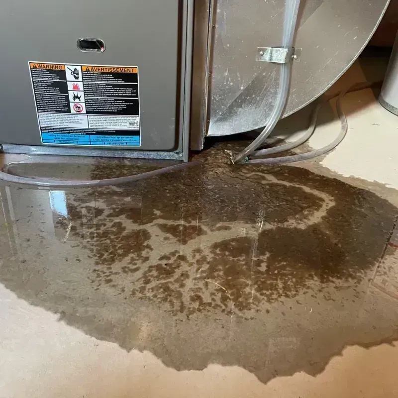 Appliance Leak Cleanup in Scottsbluff, NE